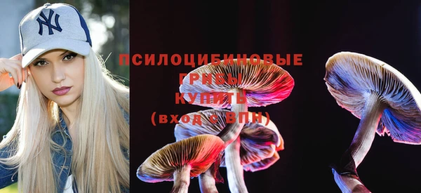 MDMA Алексеевка