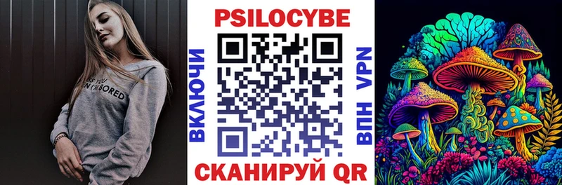 Галлюциногенные грибы Psilocybe  Выкса 